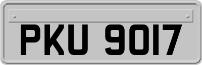 PKU9017