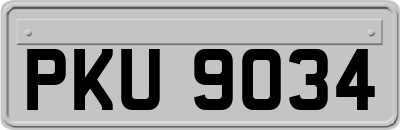 PKU9034