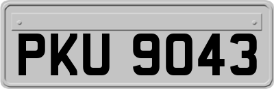 PKU9043