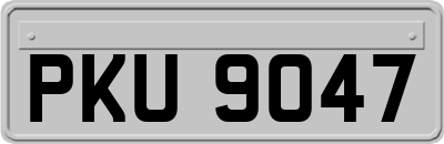 PKU9047