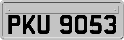 PKU9053