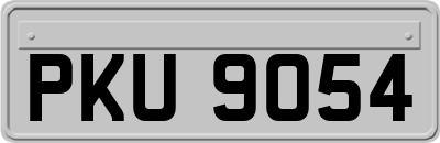PKU9054