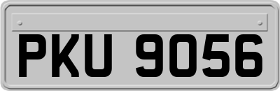 PKU9056