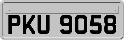 PKU9058