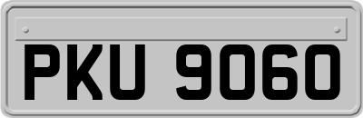PKU9060