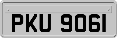 PKU9061