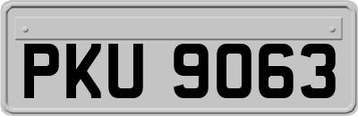 PKU9063