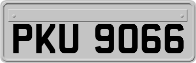 PKU9066