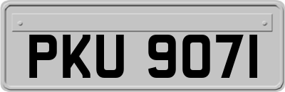 PKU9071