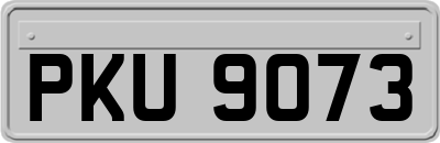 PKU9073