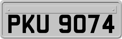 PKU9074