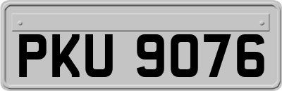 PKU9076