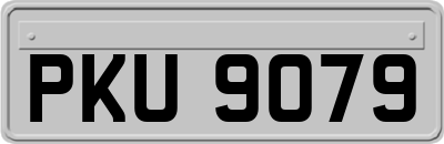 PKU9079