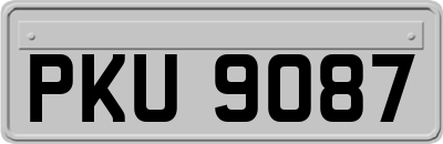 PKU9087