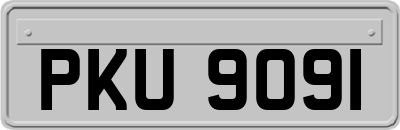 PKU9091