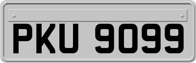 PKU9099