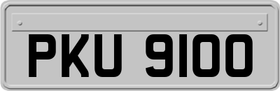 PKU9100
