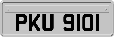 PKU9101