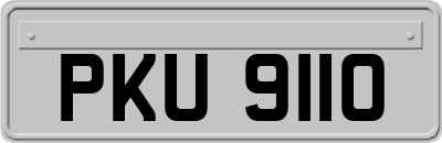 PKU9110