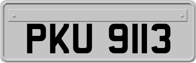 PKU9113