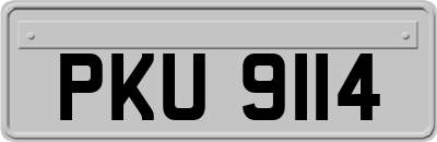PKU9114