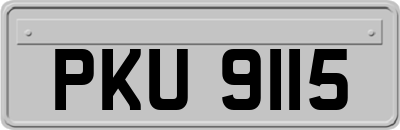 PKU9115