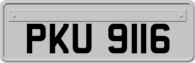 PKU9116
