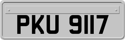 PKU9117