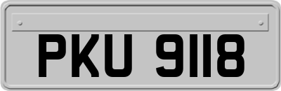 PKU9118
