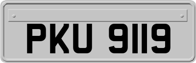 PKU9119