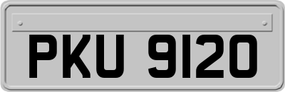 PKU9120