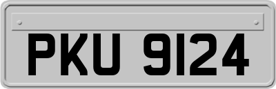 PKU9124