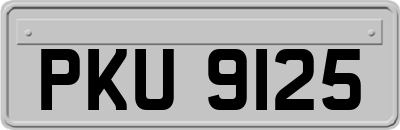 PKU9125