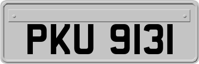 PKU9131