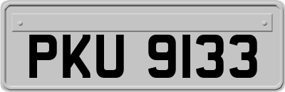 PKU9133