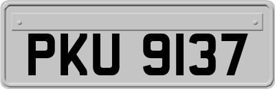 PKU9137