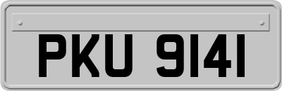 PKU9141