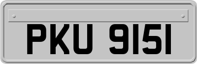 PKU9151