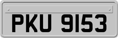 PKU9153