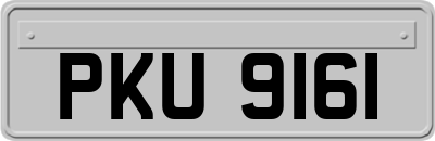 PKU9161