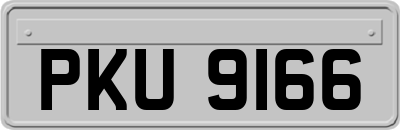 PKU9166