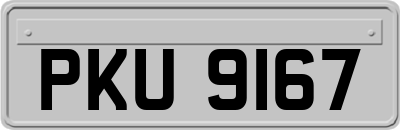 PKU9167