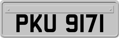 PKU9171