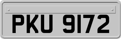 PKU9172