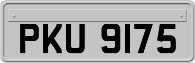 PKU9175