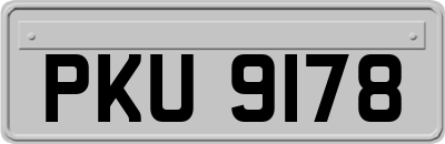PKU9178