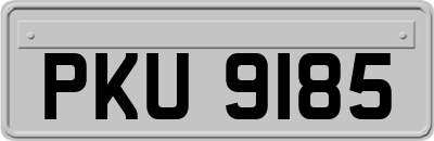 PKU9185
