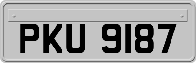 PKU9187