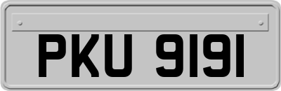 PKU9191