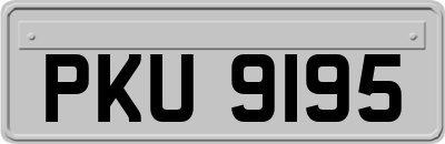 PKU9195